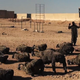 Onion Explains: The Terrifying Growth Of ISIS